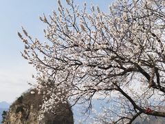 -圣莲山风景区