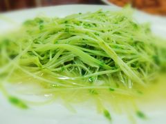 炒豆苗-蜀都餐厅(凤池店)