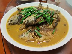 -百丈农家