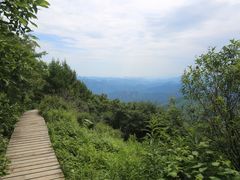 -白草畔自然风景区