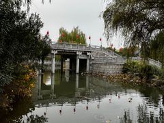 -洛阳市隋唐城遗址植物园