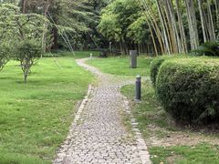 -新虹桥中心花园