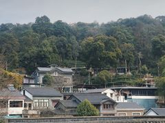 -龙井村