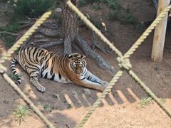 -西霞口神雕山野生动物世界