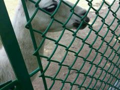 android_upload_pic-西安秦岭野生动物园