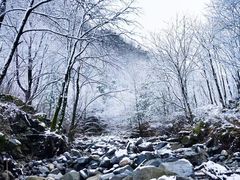 -秦岭风景区