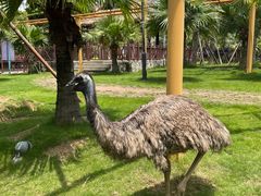 -灵玲国际马戏城