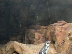 -长鹿旅游休博园