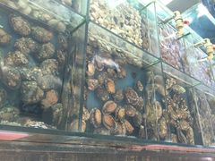 大东方酒楼-大东方海鲜酒楼(小武基桥店)