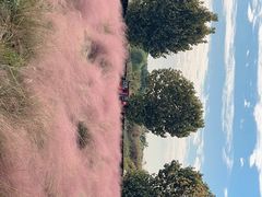 -映月湖中央公园