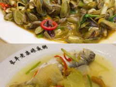 -长平老姿娘夜粥(平东一街店)