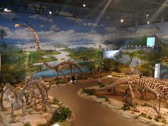 -自贡恐龙博物馆