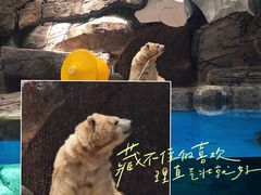 -海合安武汉极地海洋公园