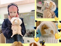 -藦茜花园宠物主题亲子互动体验馆(国顺东路店)