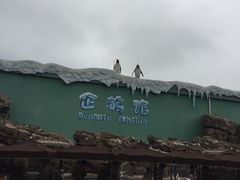 -冯姐生蚝(长隆横琴店)