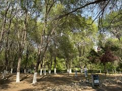 -长白岛森林公园