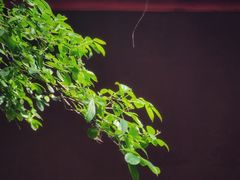 -金堂县云顶石城风景区