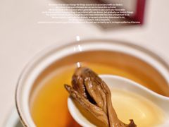 瑶柱白玉炖云南菌-三号黄浦会Canton Table