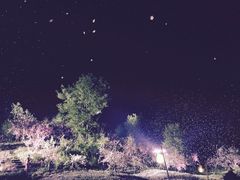 -常德桃花源景区