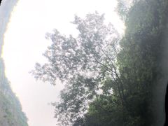 -太鲁阁公园