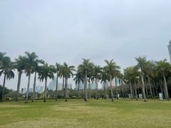 -白鹭洲公园