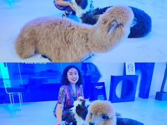 -Blue Concept Cafe&Farm·關於藍
