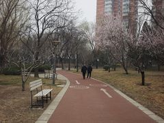 -南长河公园
