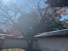 -醍醐寺