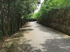 -雨花胜境