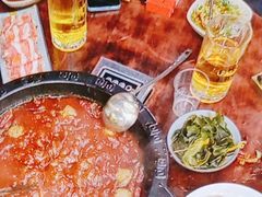 -重庆川渝肥妹火锅