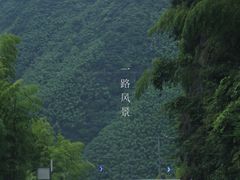 -江南天池