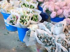 -三圣花乡旅游区