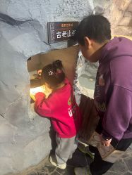 -Zoolung Zoolung动物主题公园(海信广场店)