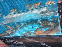 -山海•蒸汽活海鲜自助(皇庭广场店)