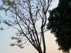 -白石龙音乐公园