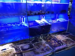 -捞围鲜·港式打边炉(海阳路店)