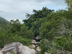 -海南热带雨林国家公园吊罗山景区