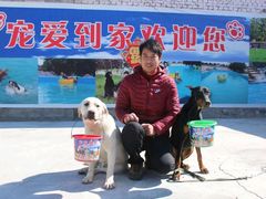 -宠物寄养训练学校