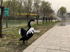 -河北省园博园