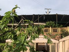 -玫瑰庄园·自助烧烤·烤全羊·团建拓展(龙泉山店)