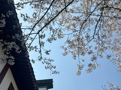 -堤角公园