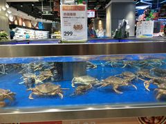 水产区-盒马鲜生(财富中心店)