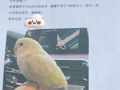-羊山湖公园