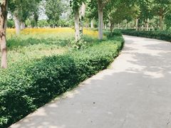 -淄博花灯齐彩城
