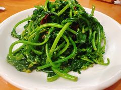 -曾牛肉