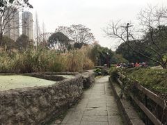 -成都市活水公园
