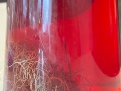 -太婆天府山珍酒楼(亚运村店)