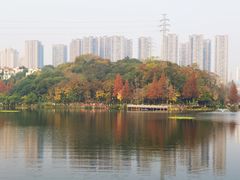 -重庆彩云湖湿地公园