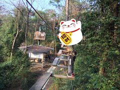 -芦仙山景区-飞越丛林探险乐园