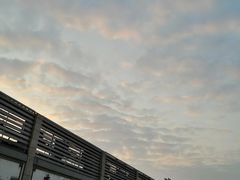 -黄沙水产交易市场